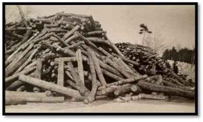 Above and below — just some of the massive logs the crew dealt with.